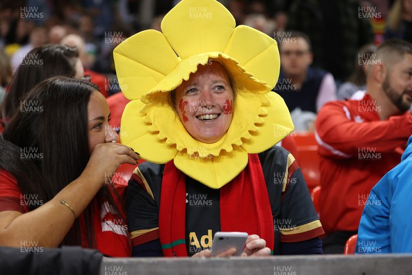 050823 - Wales v England - Vodafone Summer Series - Fans