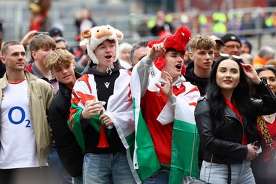 150325 - Wales v England - Guinness Six Nations - Fans on Westgate Street before the match