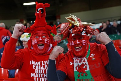 150325 - Wales v England - Guinness Six Nations - Fans in the stadium before the match