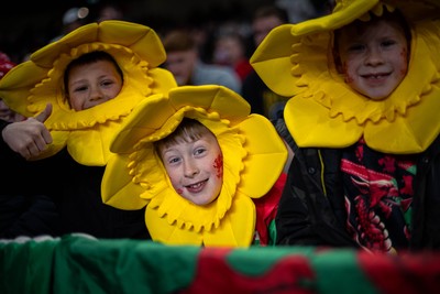 150325 - Wales v England - Guinness Six Nations - Wales Fans inside the stadium during the game   