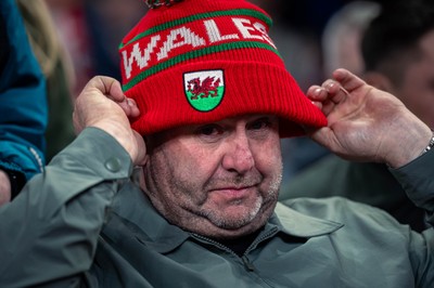 150325 - Wales v England - Guinness Six Nations - Wales Fans inside the stadium during the game   