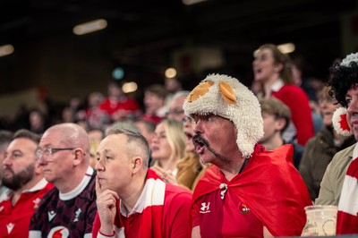 150325 - Wales v England - Guinness Six Nations - Wales Fans inside the stadium during the game   