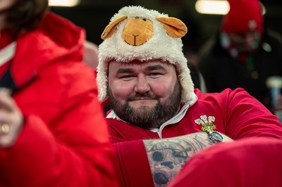 150325 - Wales v England - Guinness Six Nations - Wales Fans inside the stadium during the game   