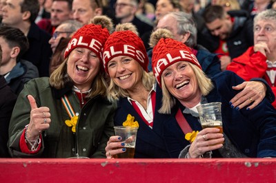 150325 - Wales v England - Guinness Six Nations - Wales Fans inside the stadium during the game   