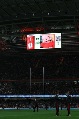 150325 Wales v England, Guinness Mens Six Nations - Go Compare Cache Cam on the stadium screen at half time