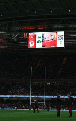 150325 Wales v England, Guinness Mens Six Nations - Go Compare Cache Cam on the stadium screen at half time