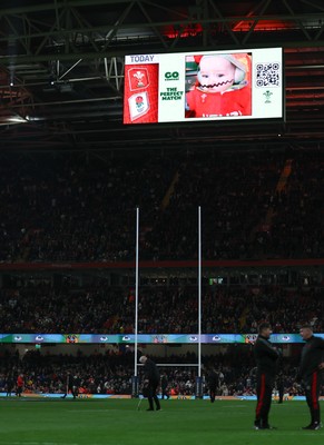 150325 Wales v England, Guinness Mens Six Nations - Go Compare Cache Cam on the stadium screen at half time