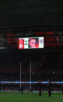 150325 Wales v England, Guinness Mens Six Nations - Go Compare Cache Cam on the stadium screen at half time