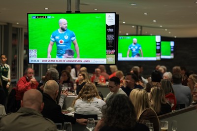 150325 Wales v England, Guinness Mens Six Nations - Hospitality screens