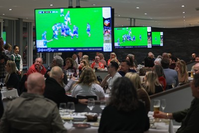 150325 Wales v England, Guinness Mens Six Nations - Hospitality screens