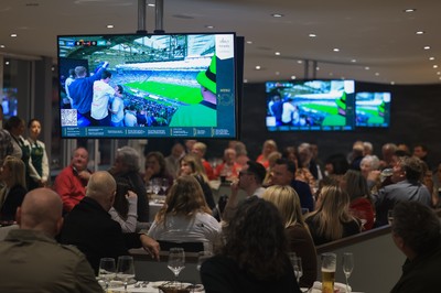 150325 Wales v England, Guinness Mens Six Nations - Hospitality screens