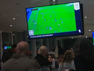 150325 Wales v England, Guinness Mens Six Nations - Hospitality screens