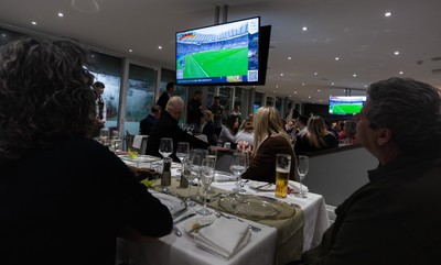 150325 Wales v England, Guinness Mens Six Nations - Hospitality Screens