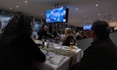 150325 Wales v England, Guinness Mens Six Nations - Hospitality Screens