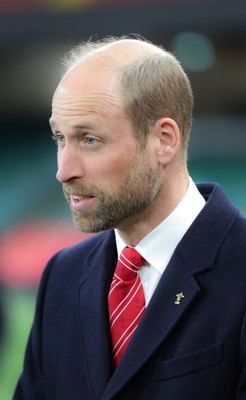 150325 Wales v England, Guinness Mens Six Nations - William, Prince of Wales after the match