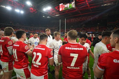 150325 - Wales v England - Guinness Six Nations - England walk through the players tunnel