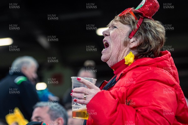 150325 - Wales v England - Guinness Six Nations - Wales Fans inside the stadium during the game   