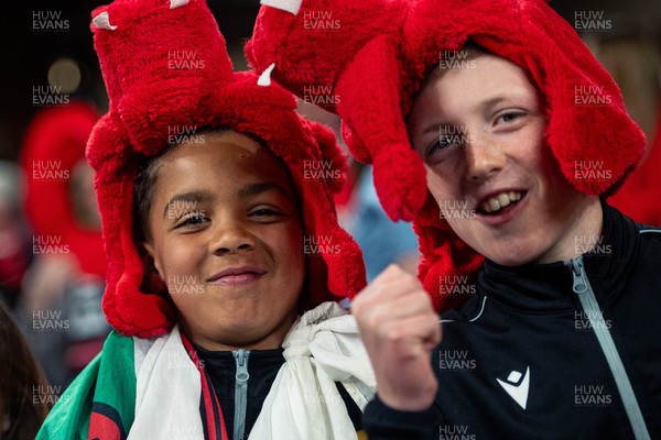 150325 - Wales v England - Guinness Six Nations - Wales Fans inside the stadium during the game   