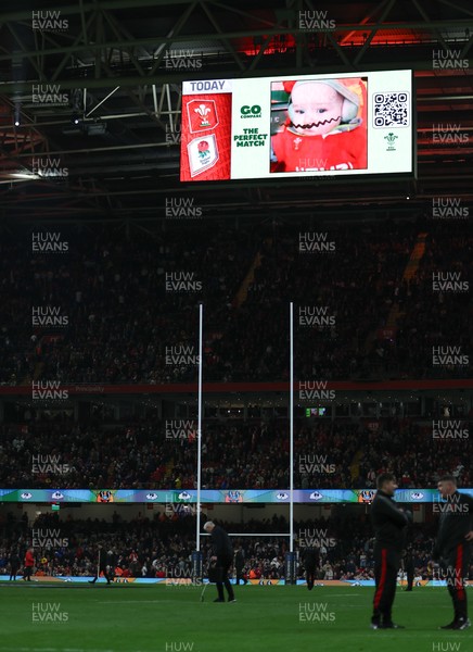 150325 Wales v England, Guinness Mens Six Nations - Go Compare Cache Cam on the stadium screen at half time