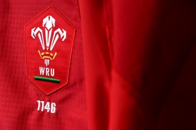 170819 - Wales v England - Under Armour Summer Series - Wales Jersey in Dressing Room