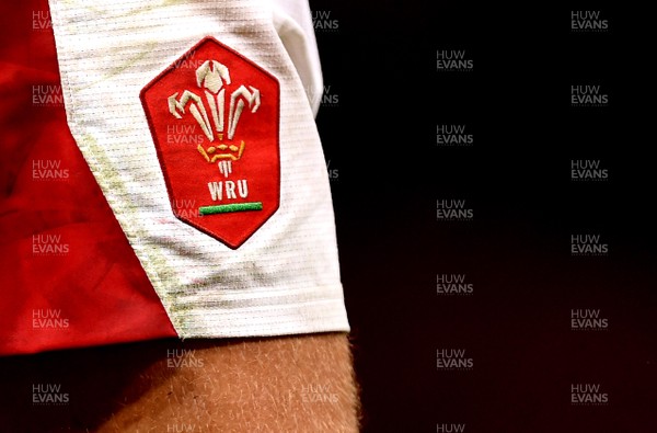 170819 - Wales v England - Under Armour Summer Series - Welsh Rugby Union Badge