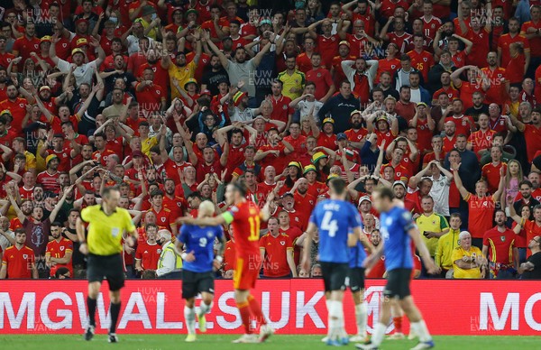 080921 - Wales v Estonia, World Cup 2022 Qualifying - Wales fans look on in anger as penalty appeal is declined by referee Ruddy Buquet