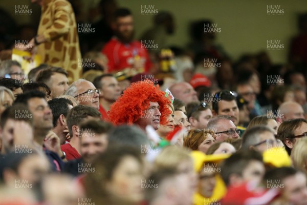 011015 - Wales v Fiji - Rugby World Cup - Wales fans