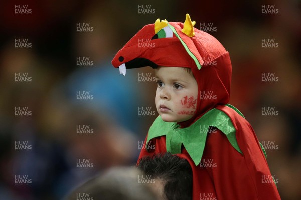 011015 - Wales v Fiji - Rugby World Cup - Wales fans