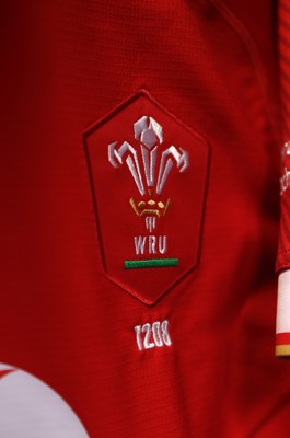 Wales v Fiji 101124