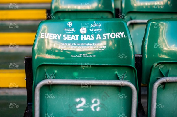 141121 - Wales v Filji - Autumn Nations Series - Stadium seat