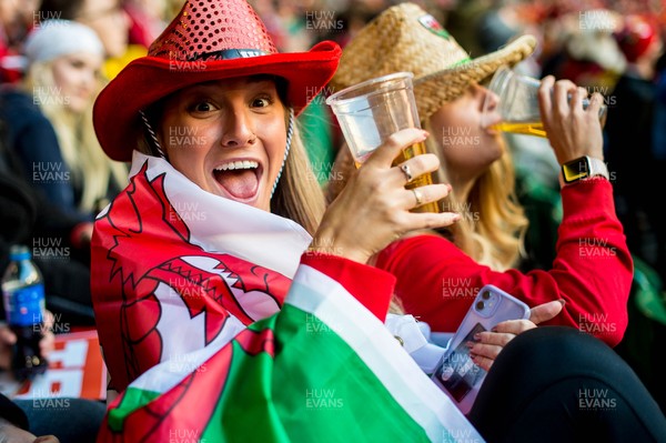 141121 - Wales v Filji - Autumn Nations Series -  Fans ahead of kick off 