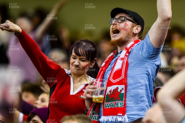 141121 - Wales v Filji - Autumn Nations Series -  Wales Fans 