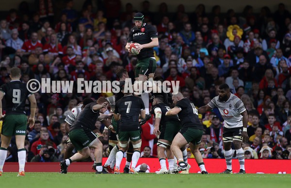 141121 - Wales v Fiji - Autumn Nations Series - Adam Beard of Wales wins the line out