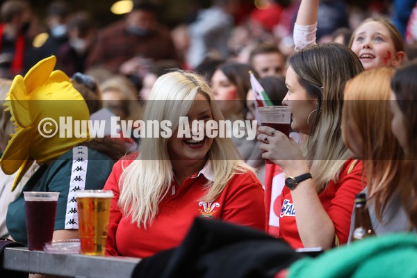 141121 - Wales v Fiji - Autumn Nations Series - Wales fans