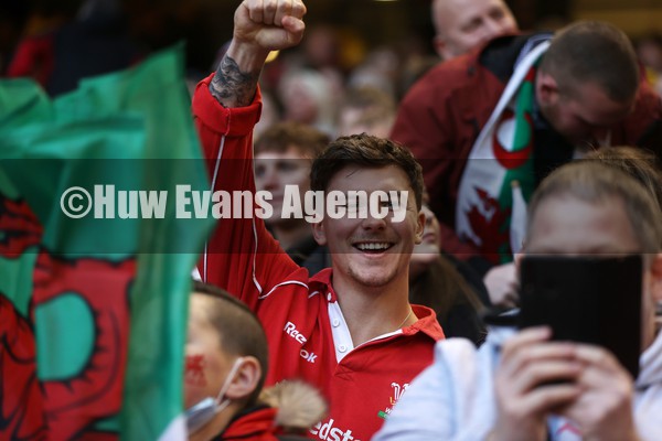 141121 - Wales v Fiji - Autumn Nations Series - Wales fans