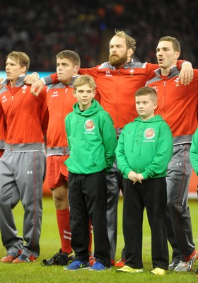 151114 - Wales v Fiji - Dove Men Series -