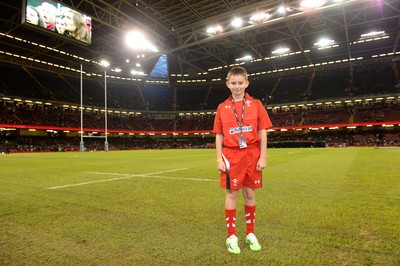 151114 - Wales v Fiji - Dove Men Series -Match mascot