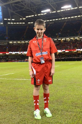 151114 - Wales v Fiji - Dove Men Series -Match mascot