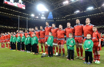 151114 - Wales v Fiji - Dove Men Series -