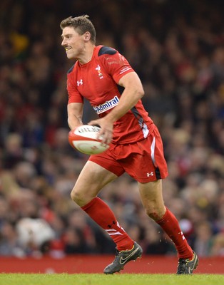 151114 - Wales v Fiji - Dove Men Series -Rhys Priestland of Wales