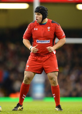 151114 - Wales v Fiji - Dove Men Series -Nicky Smith of Wales