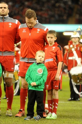 151114 - Wales v Fiji - Dove Men Series -