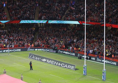 151114 - Wales v Fiji - Dove Men+Care Series - Dove Men+Care pitch branding 