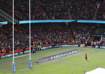 151114 - Wales v Fiji - Dove Men+Care Series - Dove Men+Care pitch branding 