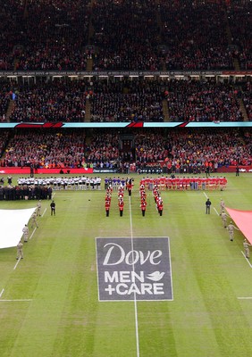 151114 - Wales v Fiji - Dove Men+Care Series - Dove Men+Care branding 