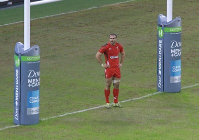 151114 - Wales v Fiji - Dove Men+Care Series - Dove Men+Care branding 