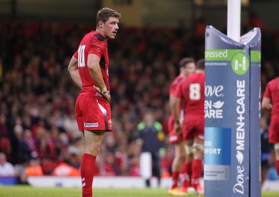 151114 - Wales v Fiji - Dove Men+Care Series - Dove Men+Care branding