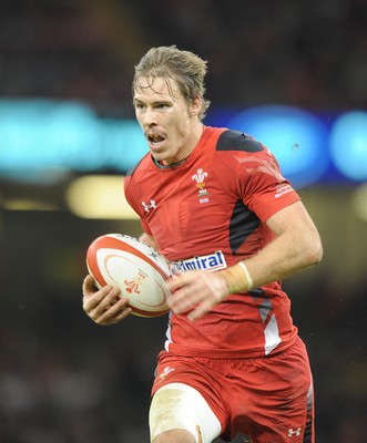 151114 - Wales v Fiji - Dove Men Series -Wales Liam Williams(c) Huw Evans Agency