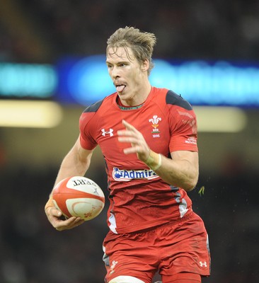 151114 - Wales v Fiji - Dove Men Series -Wales Liam Williams(c) Huw Evans Agency