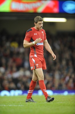 151114 - Wales v Fiji - Dove Men Series -Rhys Priestland of Wales(c) Huw Evans Agency